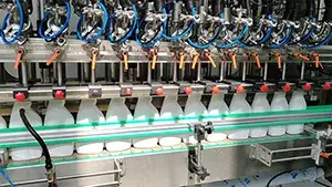 Progetto di riempimento per prodotti chimici domestici – USA (2025)