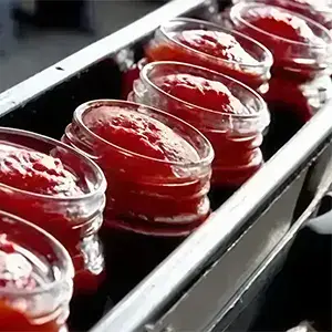 Macchine riempitrici per alimenti e bevande