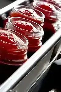 Macchine riempitrici per alimenti e bevande