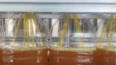 Linea di riempimento per oli industriali e alimentari